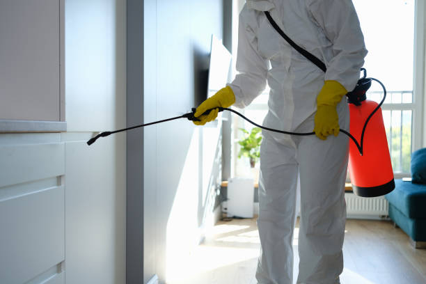 Best Local Mold Removal Service  in Flora, MS