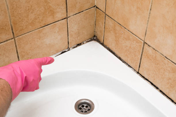 Best Mold Testing  in Flora, MS